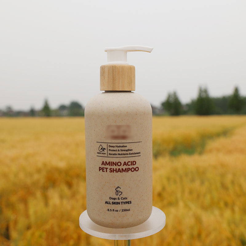 全球禁塑令,塑料工廠(chǎng)如何轉(zhuǎn)型成綠色生產(chǎn)